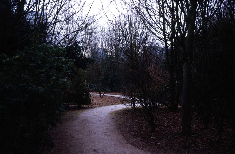 fransisca gallery